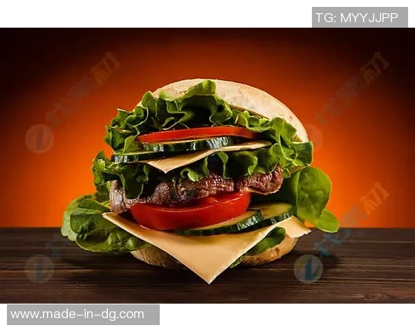 汉堡与帕圆的美味对决探寻两种风味的独特魅力与文化背景